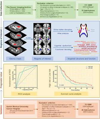 The involvement of brain regions associated with lower KPS and shorter survival time predicts a poor prognosis in glioma